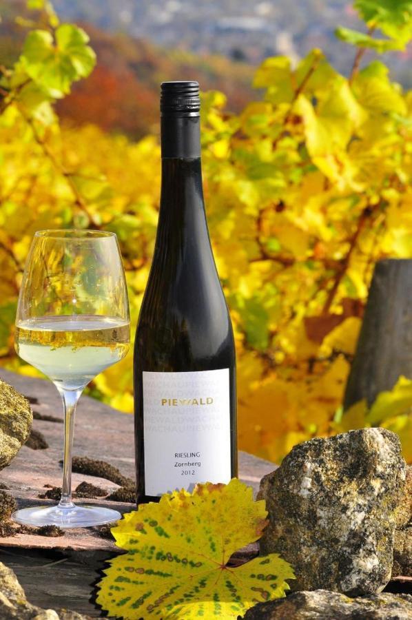 Apartamento Weingut Piewald Gut am Steg Exterior foto