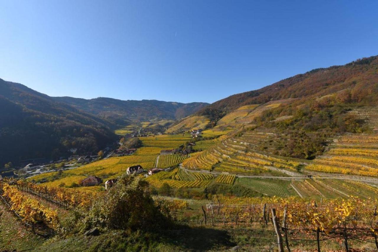 Apartamento Weingut Piewald Gut am Steg Exterior foto